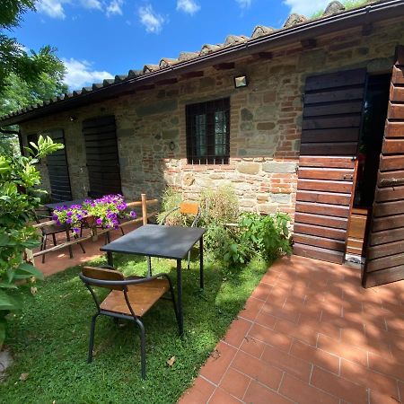 Agriturismo Stazione Di Monta Villa Vicchio Kültér fotó