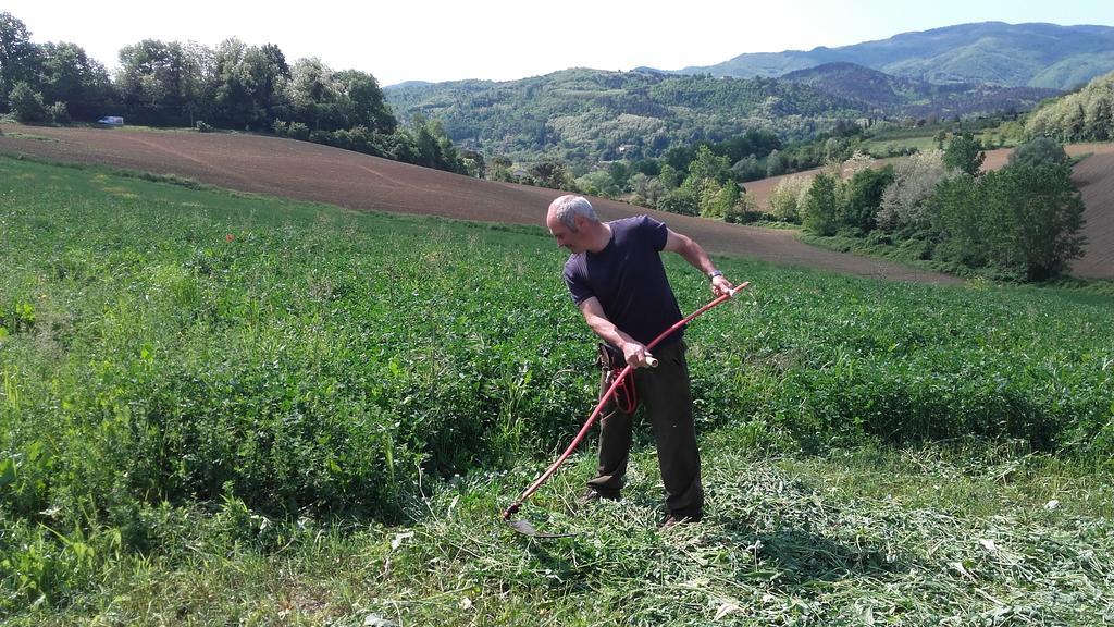 Agriturismo Stazione Di Monta Villa Vicchio Kültér fotó