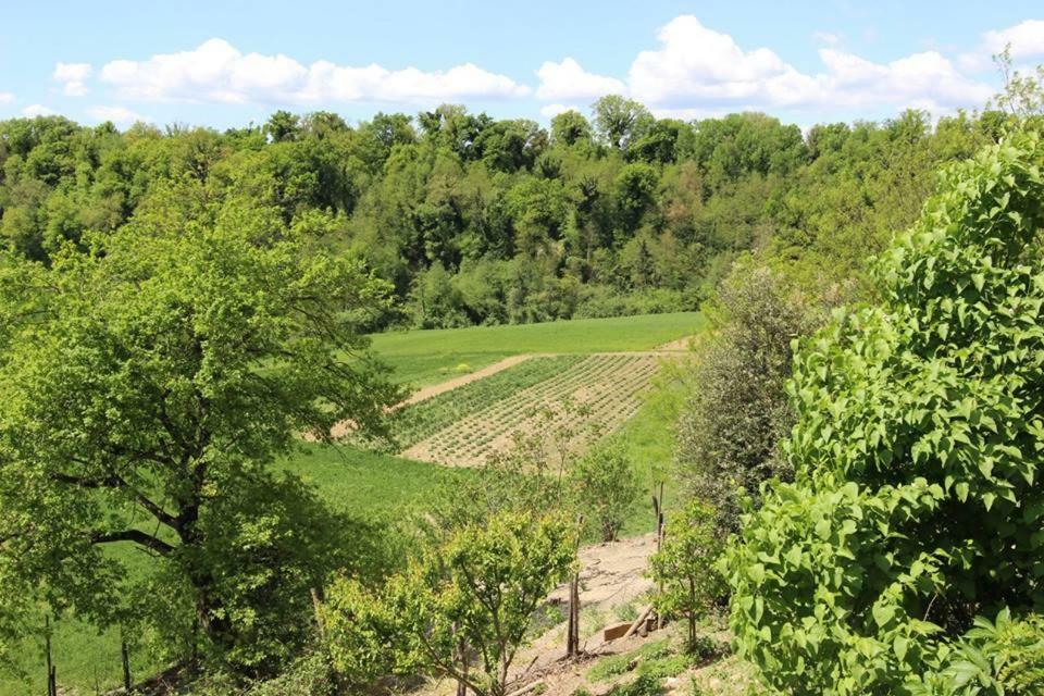 Agriturismo Stazione Di Monta Villa Vicchio Kültér fotó